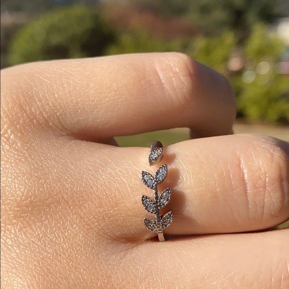 NWT Adjustable Silver Ring - Picture 2 of 6